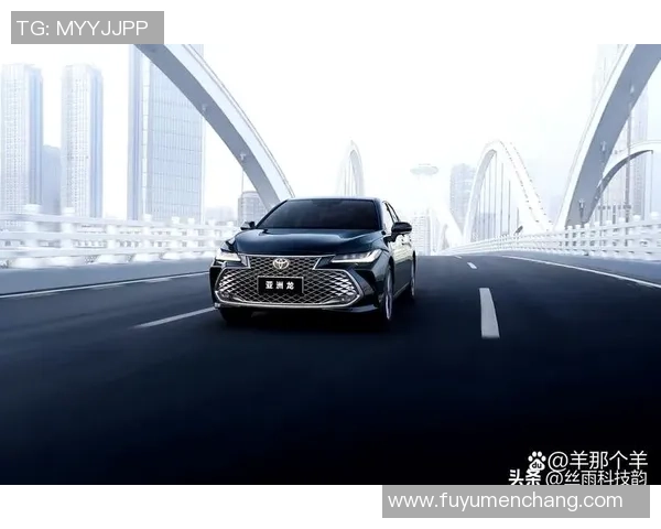 杭州羽毛球队在洲际杯积分榜上以58分稳居第一展现强劲实力