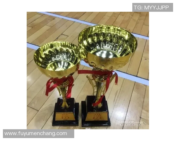 杭州羽毛球队实力分析与未来发展展望探讨