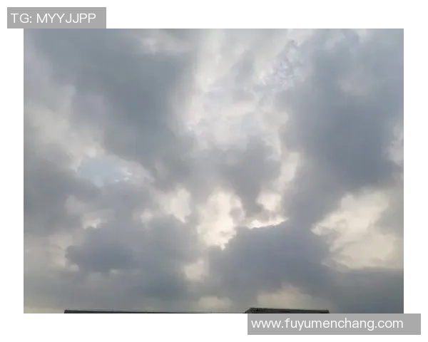 足球明星的落寞与孤独背影展现女性内心深处的情感与挣扎