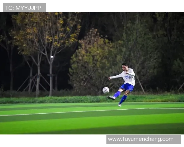 幼儿版足球明星视频带你领略小小球员的精彩瞬间与成长故事