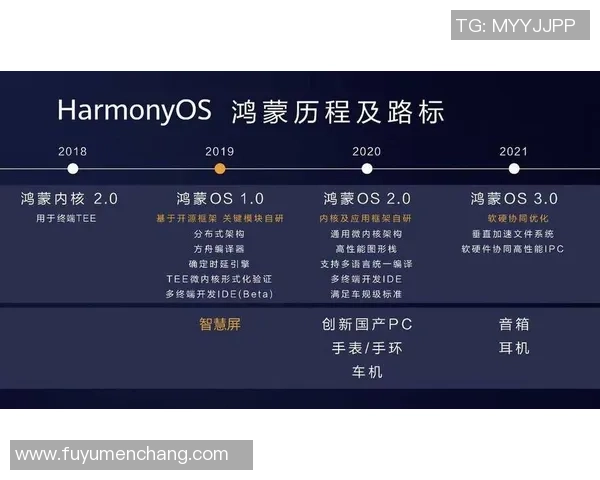 成都篮球队实力分析与未来发展潜力的深入探讨与展望