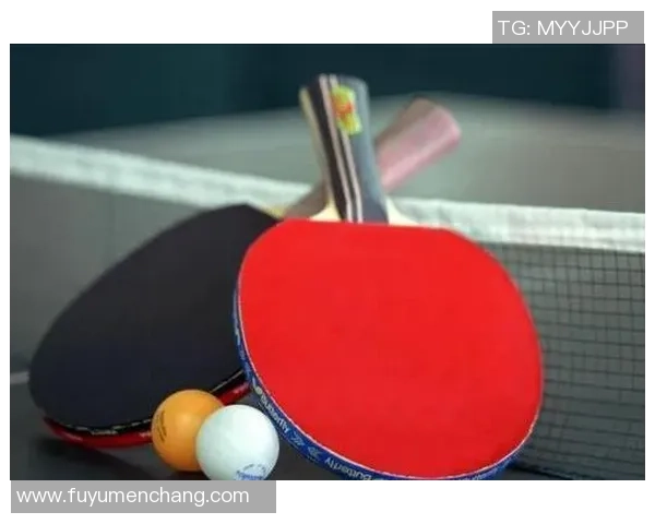 成都乒乓球队耐力排名创新高引发广泛关注与热议